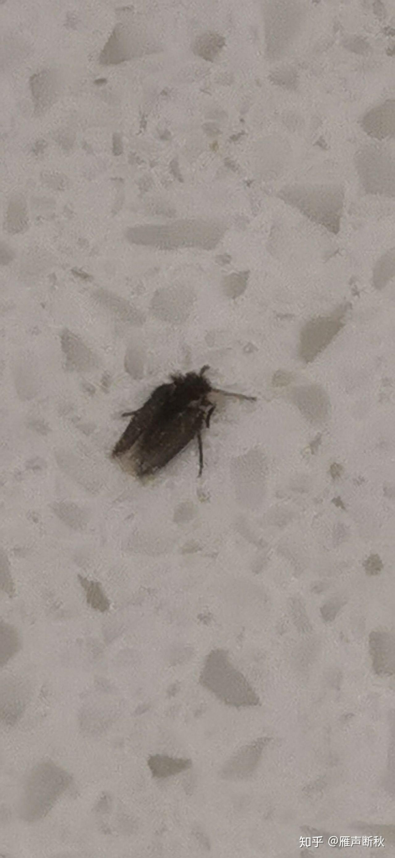 娱乐生活 第64页